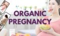 organic pregnancy