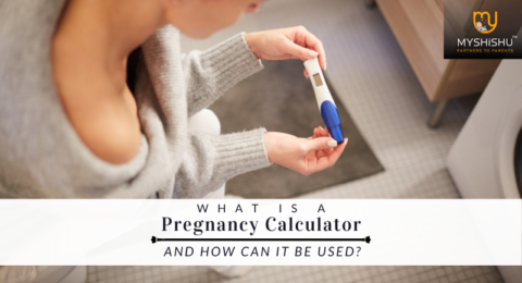 how to use pregnancy calculator