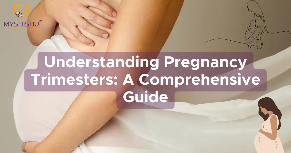 Describe Trimester Understanding Pregnancy Trimesters: A Comprehensive Guide - MyShishu