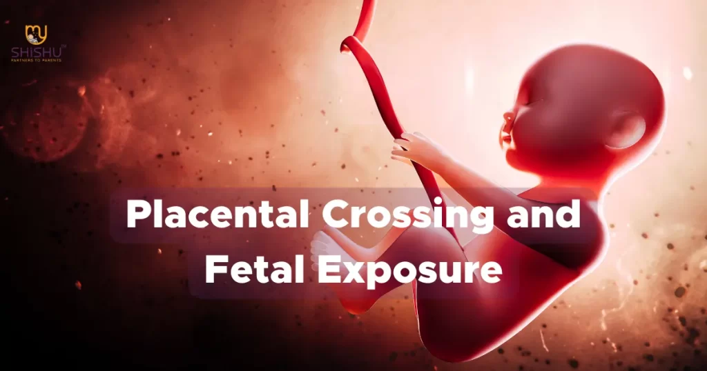 Is Azithromycin Safe in Pregnancy