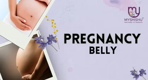 Pregnant Belly Month By Month