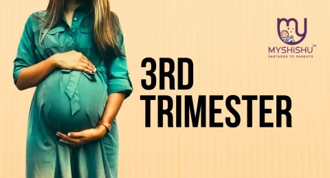 3rd trimester pregnancy