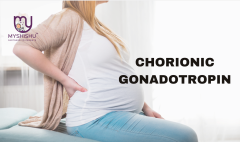 understanding chorionic gonadotropin