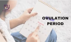 identifying your ovulation period